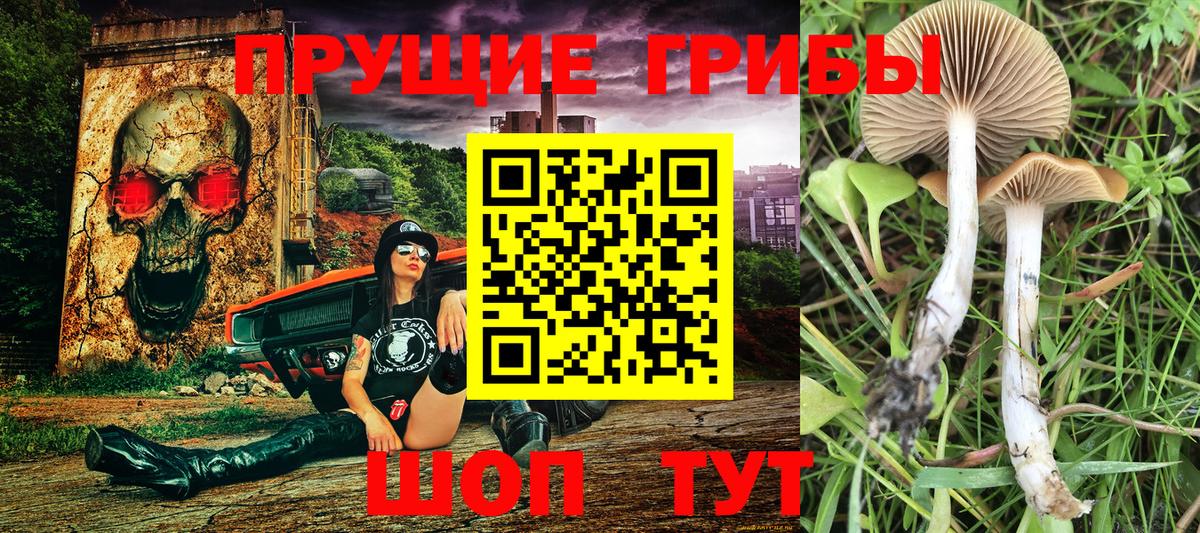 Галлюциногенные грибы мухоморы Ухта